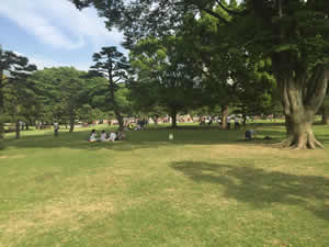Park